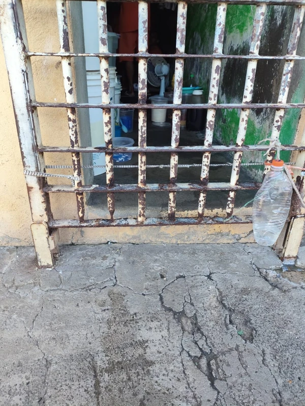 Celas apresentam ferrugem aparente por Arquivo pessoal