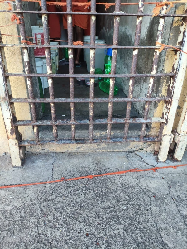 Celas apresentam ferrugem aparente por Arquivo pessoal