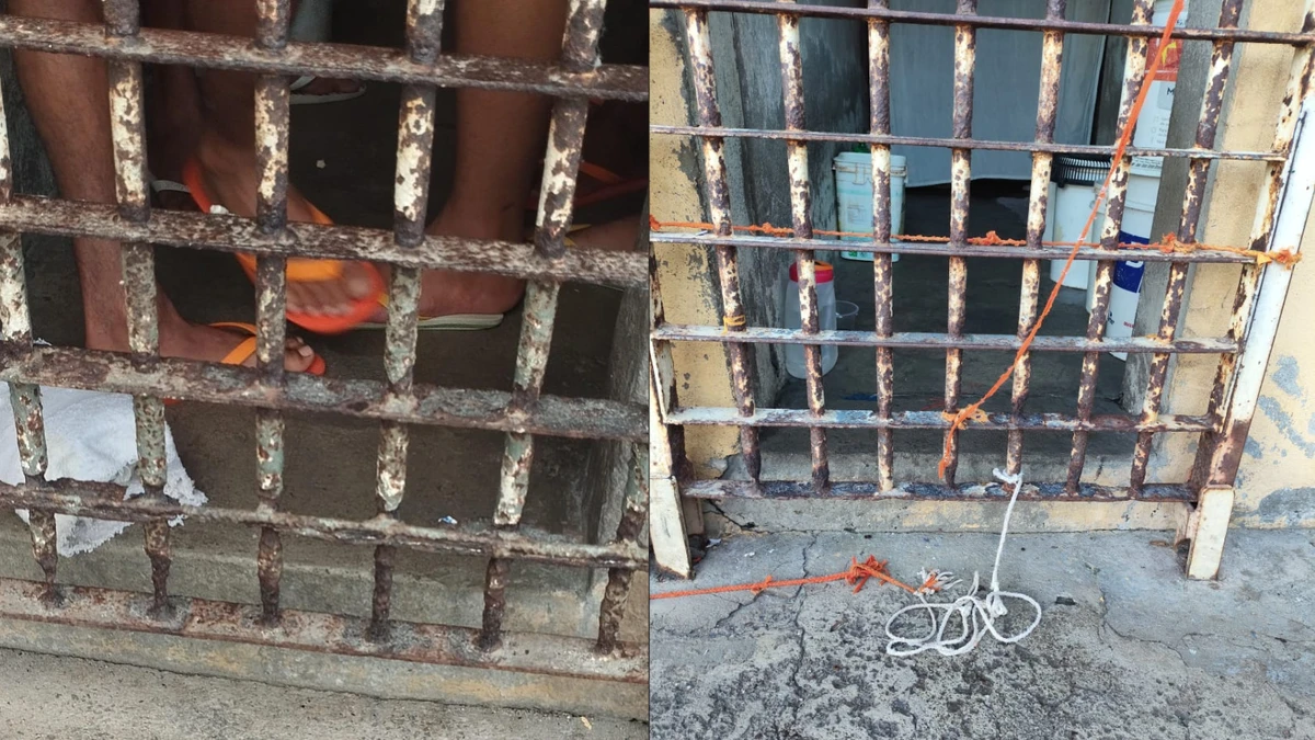 Celas apresentam ferr