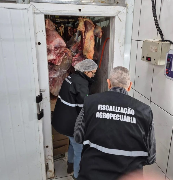 Estabelecimentos foram interditados por Divulgação/ MP-RS