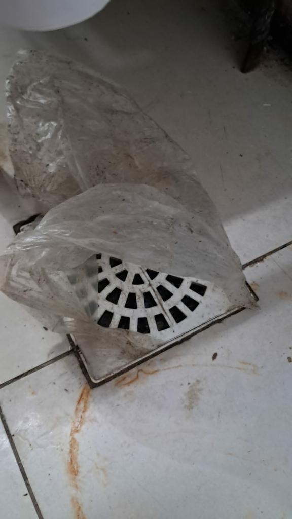 Estabelecimentos foram interditados por Divulgação/ MP-RS