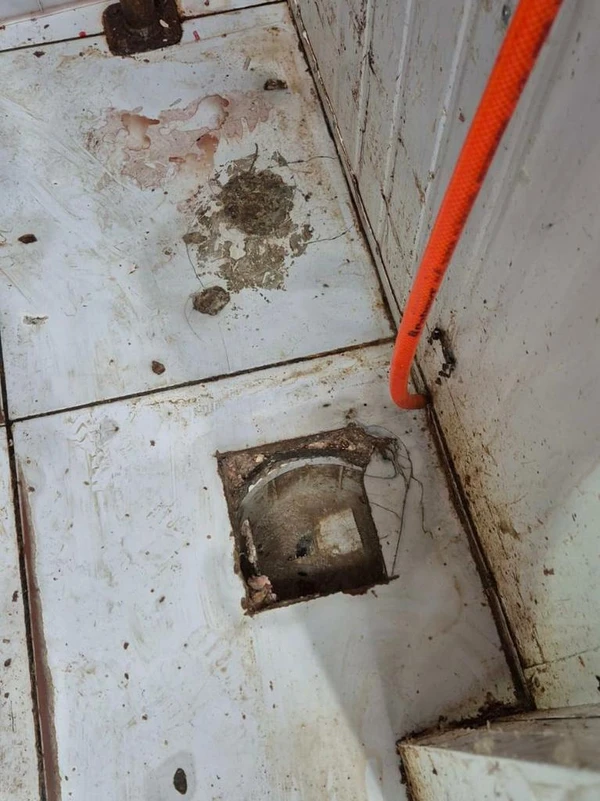 Estabelecimentos foram interditados por Divulgação/ MP-RS