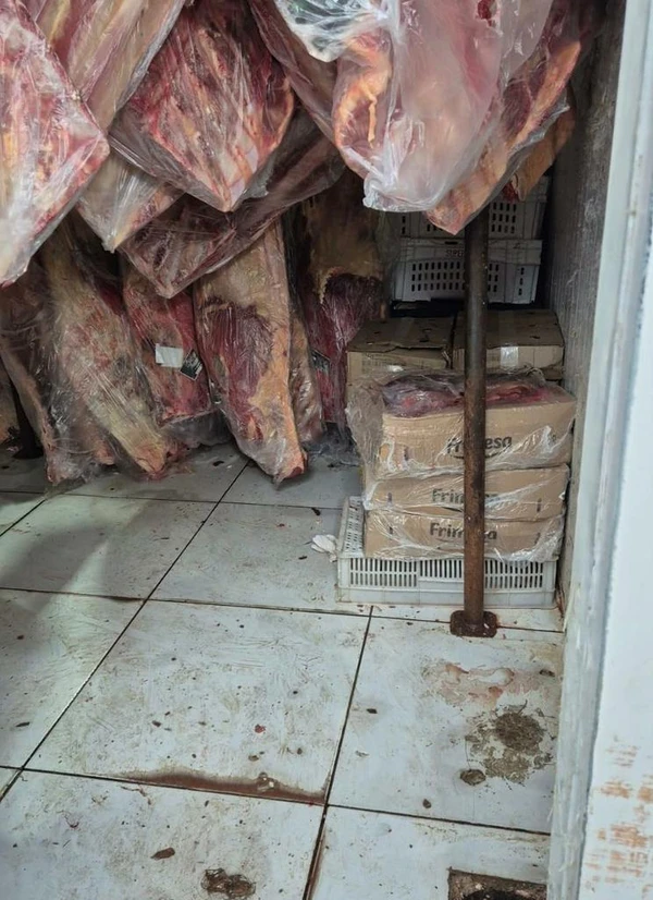 Estabelecimentos foram interditados por Divulgação/ MP-RS