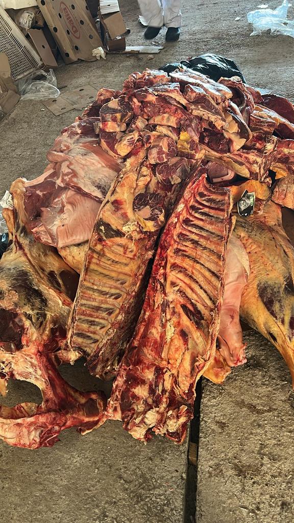 Estabelecimentos foram interditados por Divulgação/ MP-RS