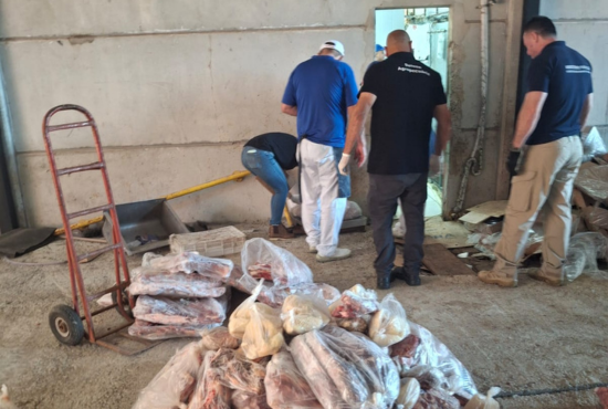 Estabelecimentos foram interditados por Divulgação/ MP-RS