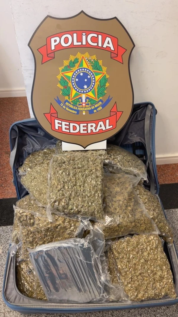 Maconha por Divulgação