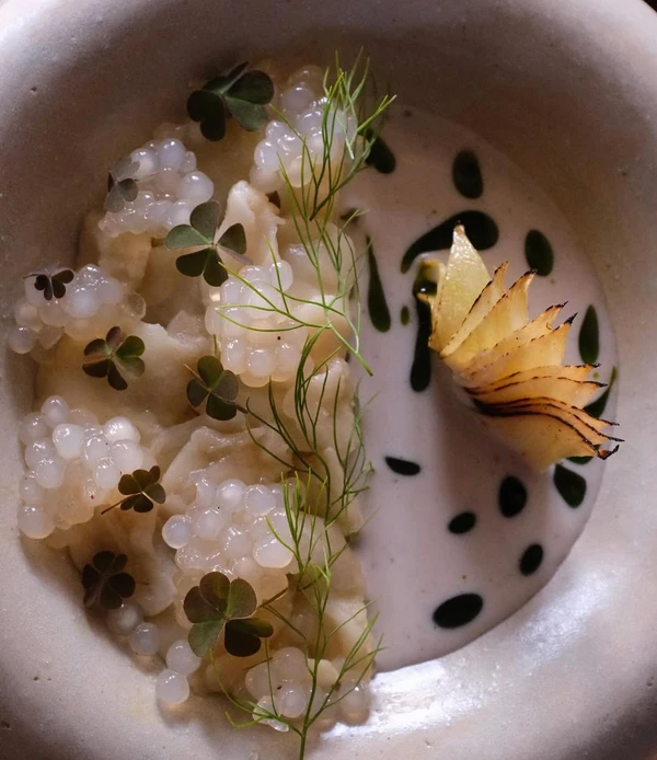 Prato do restaurante Manga, no Rio Vermelho por Reprodução