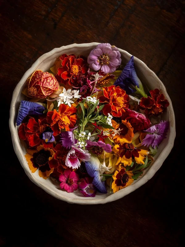 Prato do restuarante Origem, na Pituba por Reprodução