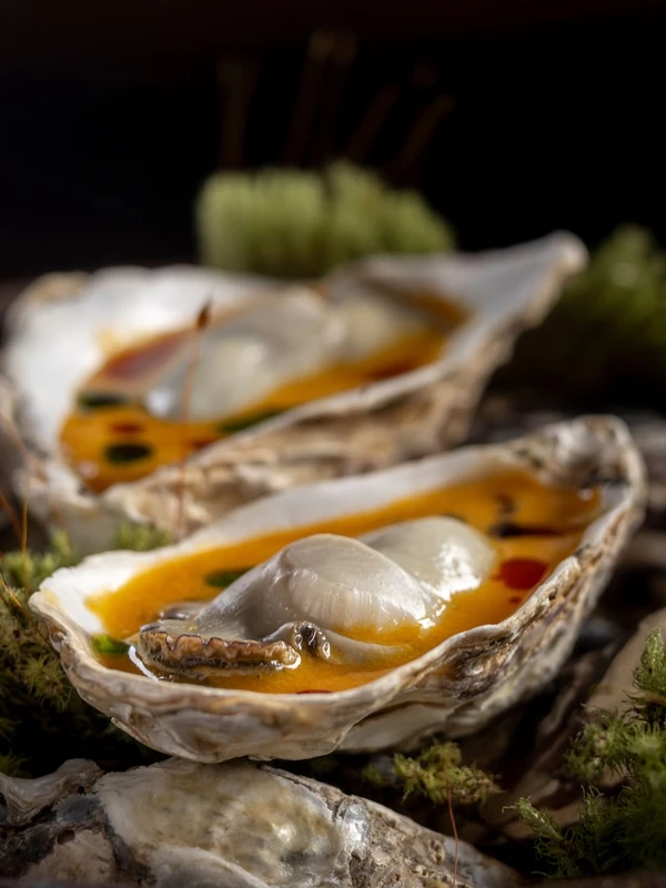 Prato do restuarante Origem, na Pituba por Reprodução