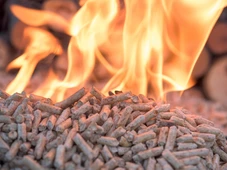 Imagem - Biomassa é solução competitiva para  Indústria na Bahia