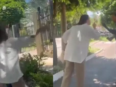 Imagem - Entregador é agredido com tapas por servidora no Tribunal de Justiça