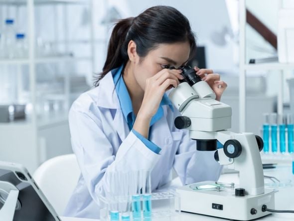 Imagem - 8 áreas de atuação no campo da Biomedicina