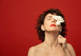 Adriana Calcanhotto por divulgação