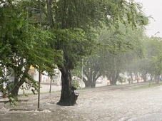 Imagem - Bahia dispara alerta de chuva pelo WhatsApp; 344 municípios estão em risco