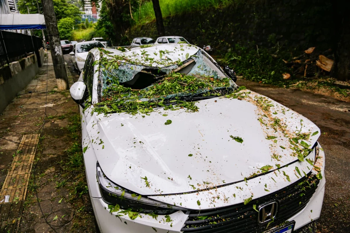 Carro foi atingido por árvore no bairro da Federação 