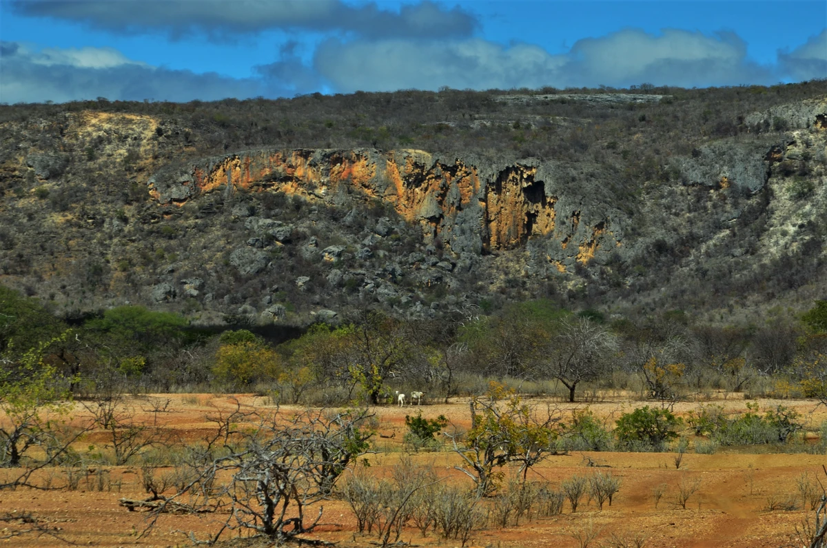 Cavernas Baianas por Ricardo Fraga Pereira