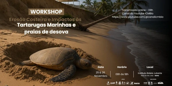 Encontro aborda impactos ambientais, conservação marinha e estratégias para preservar habitats essenciais das tartarugas no litoral norte da Bahia