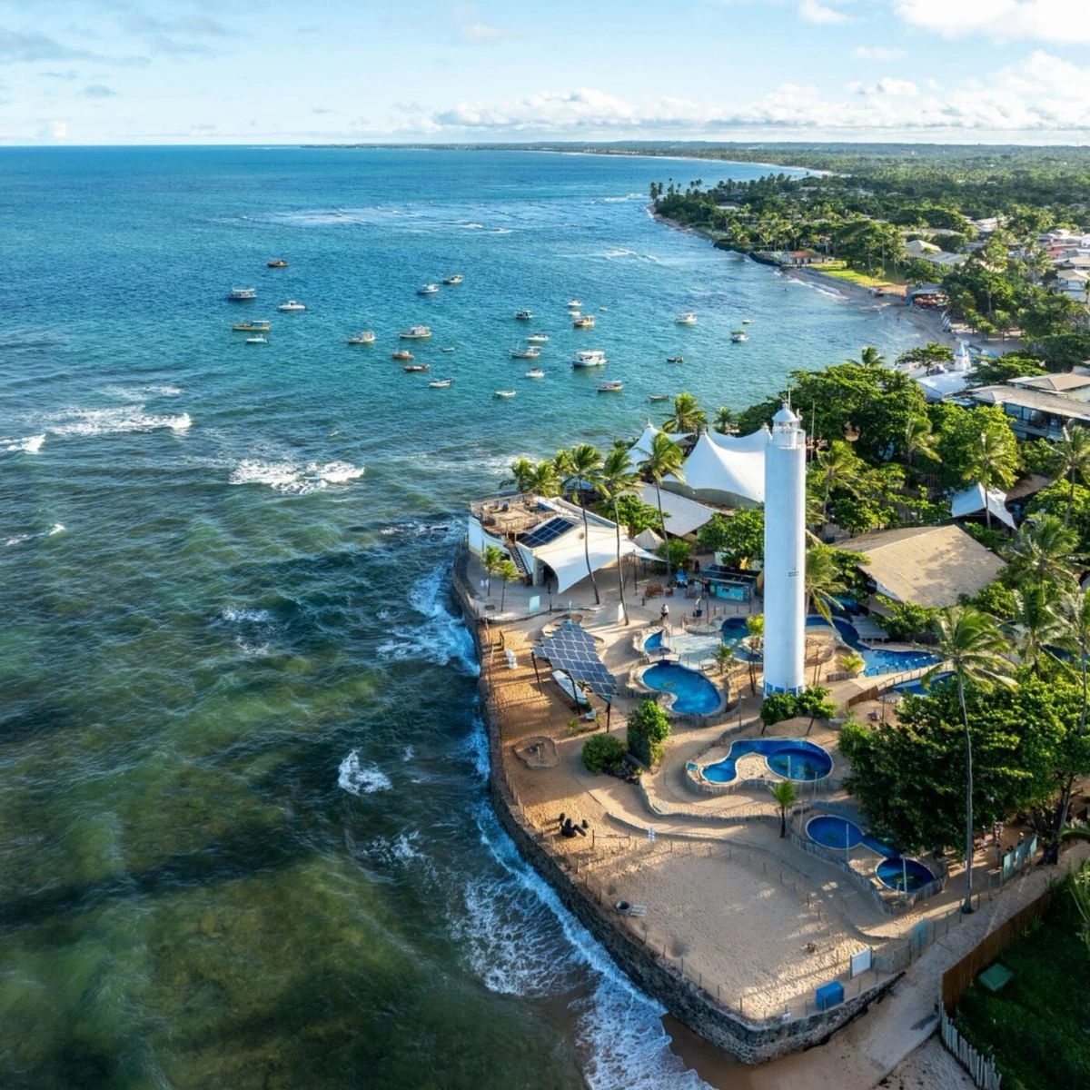 Projeto Tamar será cenário do lançamento do verão da Praia do Forte