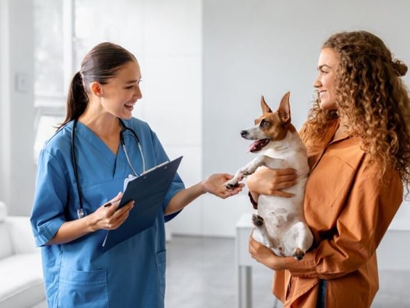 Imagem - Fisioterapia para animais: conheça as opções e os benefícios