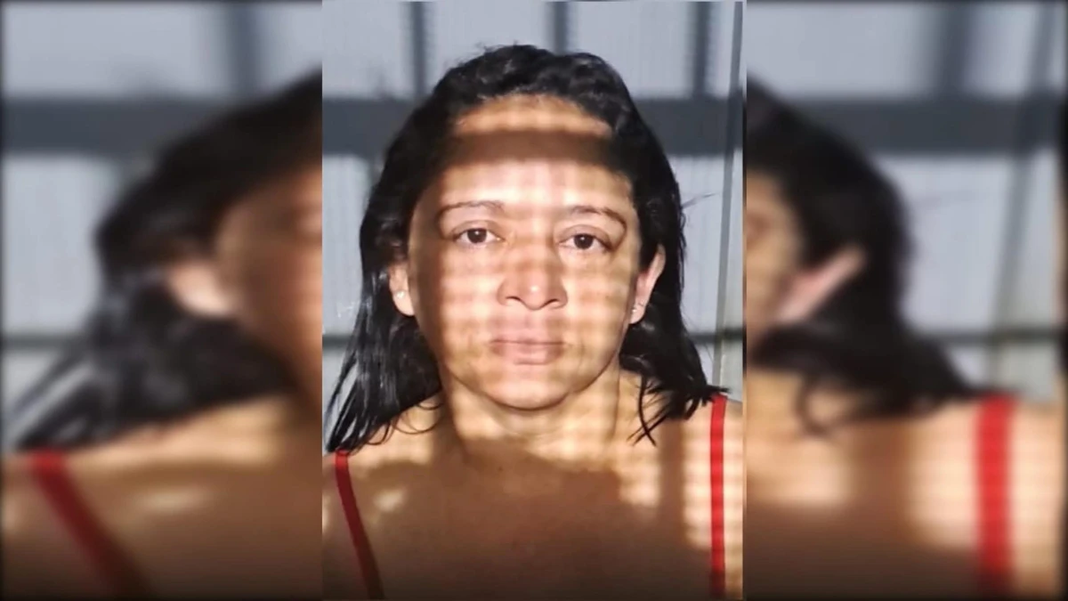 Iraci Bezerra dos Santos Cruz confessou crime por Reprodução