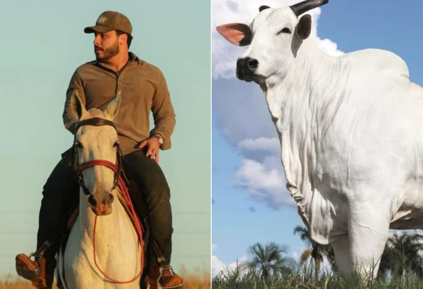 Murilo Huff, se tornou um dos donos da Donna FIV CIAV, considerada a vaca mais cara do mundo