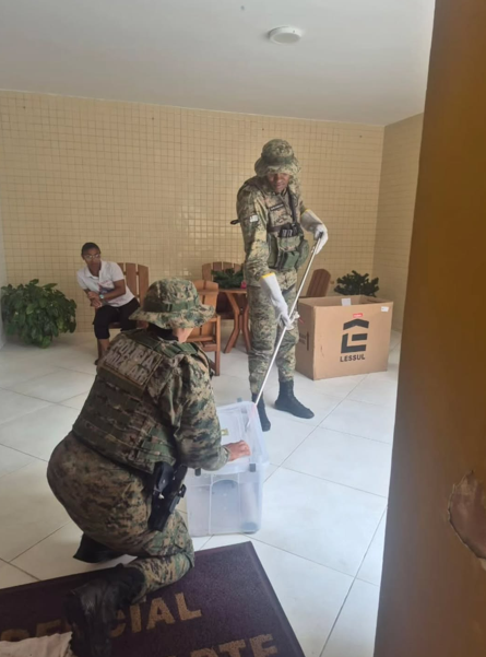 Sariguês são resgatados em casa localizada em Brotas por Divulgação