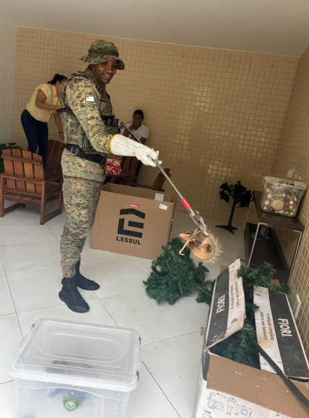 Sariguês são resgatados em casa localizada em Brotas por Divulgação