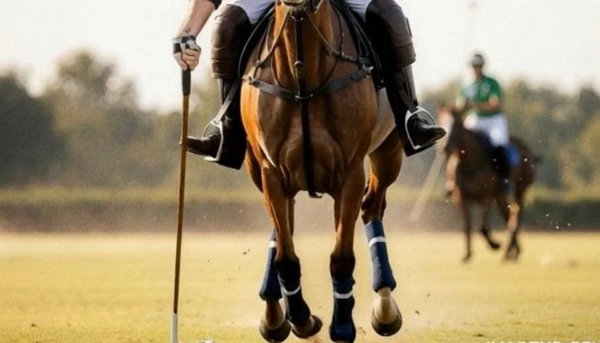 A empresa usou um artifício depois do primeiro alerta do Conar por Reprodução