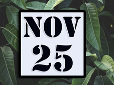 Imagem - Hoje, 25 de novembro, é feriado? Veja o que aconteceu nessa data