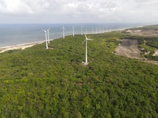 Imagem - Como uma antiga mina virou floresta: o projeto gigante da Tronox no Nordeste