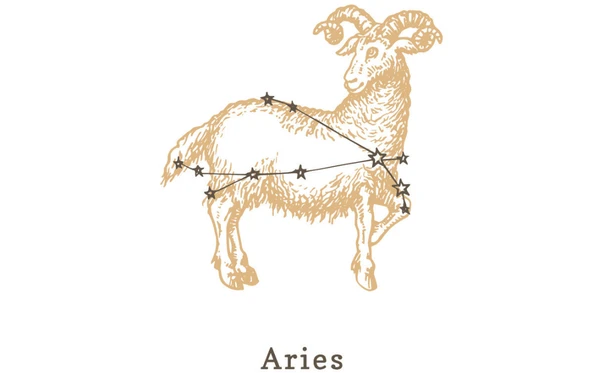 Áries: Agir antes de avaliar consequências. por Shutterstock/Reprodução