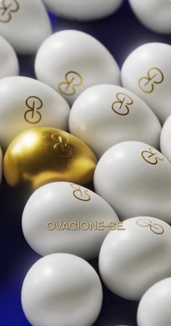 Cada caixa da linha "Gracyovos" vem com seis ovos por Reprodução