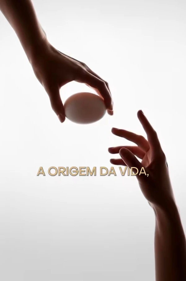 Cada caixa da linha "Gracyovos" vem com seis ovos por Reprodução