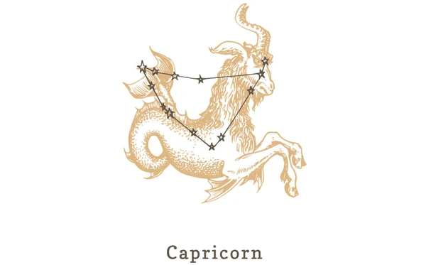 Capricórnio: Colocar metas acima de vínculos humanos. por Shutterstock/Reprodução