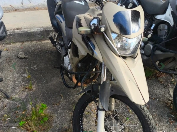 Confira algumas das opções disponíveis no leilão por Divulgação