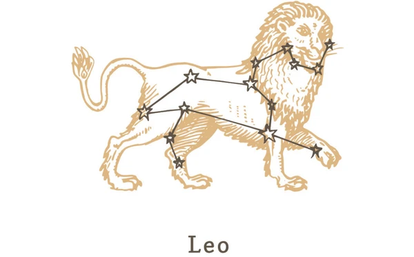 Leão: Transformar feridas em necessidade de validação constante. por Shutterstock/Reprodução