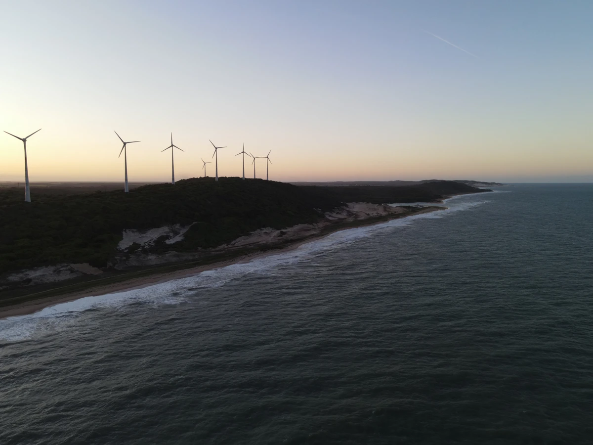 Depois do restabelecimento e reflorestamento executado pela Tronox na Mina do Guajú, na Paraíba por Divulgação