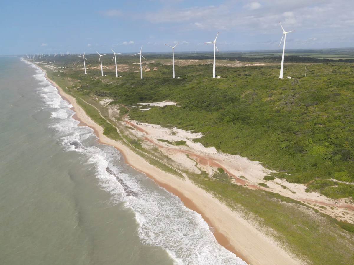 Depois do restabelecimento e reflorestamento executado pela Tronox na Mina do Guajú, na Paraíba por Divulgação