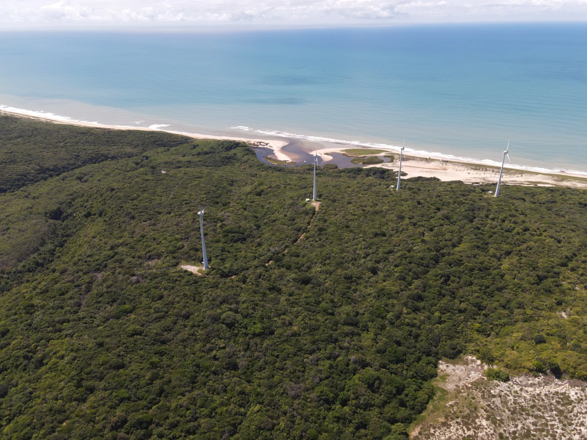 Depois do restabelecimento e reflorestamento executado pela Tronox na Mina do Guajú, na Paraíba por Divulgação
