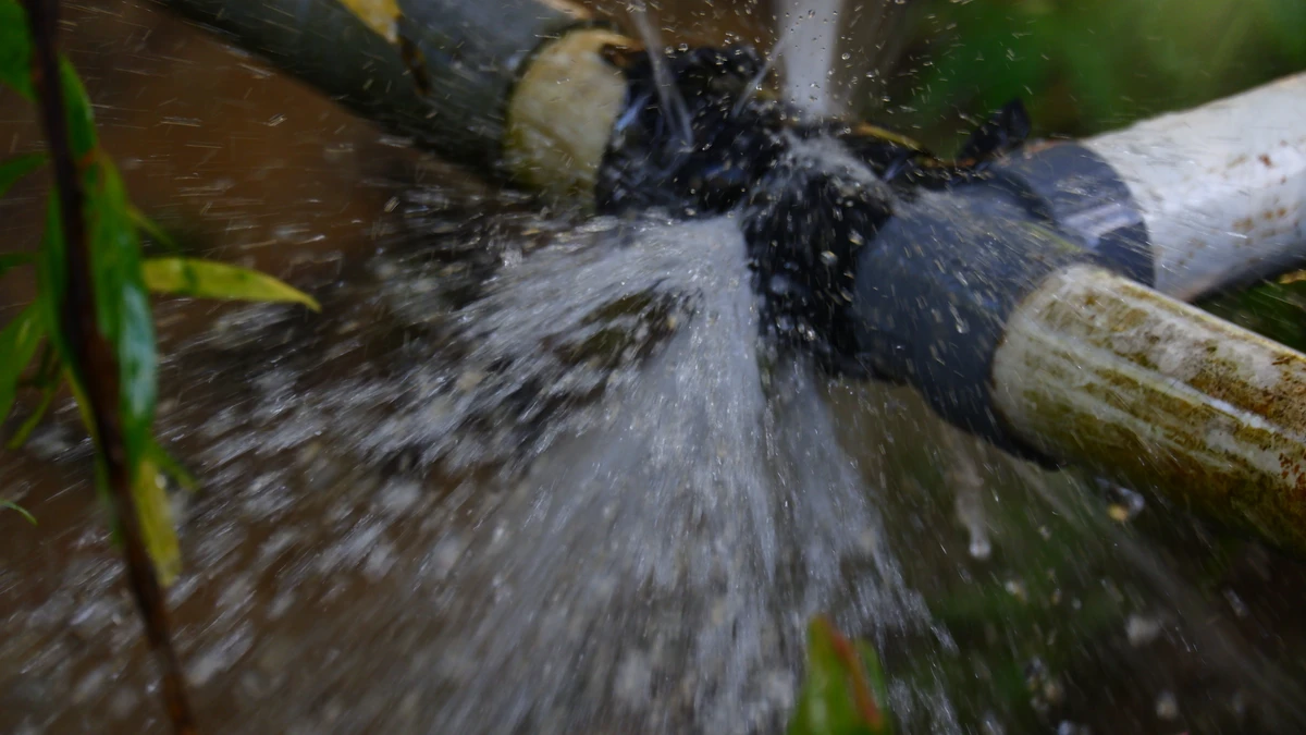 Com esse mesmo volume seria possível abastecer os 17,2 milhões de brasileiros que  vivem em comunidades vulneráveis por quase dois anos por Shutterstock