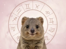 Imagem - 3 signos têm uma virada poderosa e veem a vida finalmente melhorar no mês de dezembro