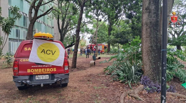 Corpo de Bombeiros foi acionado para a ocorrência em Brasília por Divulgação/Corpo de Bombeiros