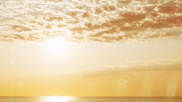 Em 50 anos, calor extremo pode tornar regiões brasileiras inabitáveis