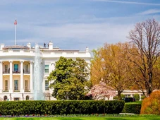 Imagem - Dois guardas nacionais ficam feridos após tiroteio perto da Casa Branca