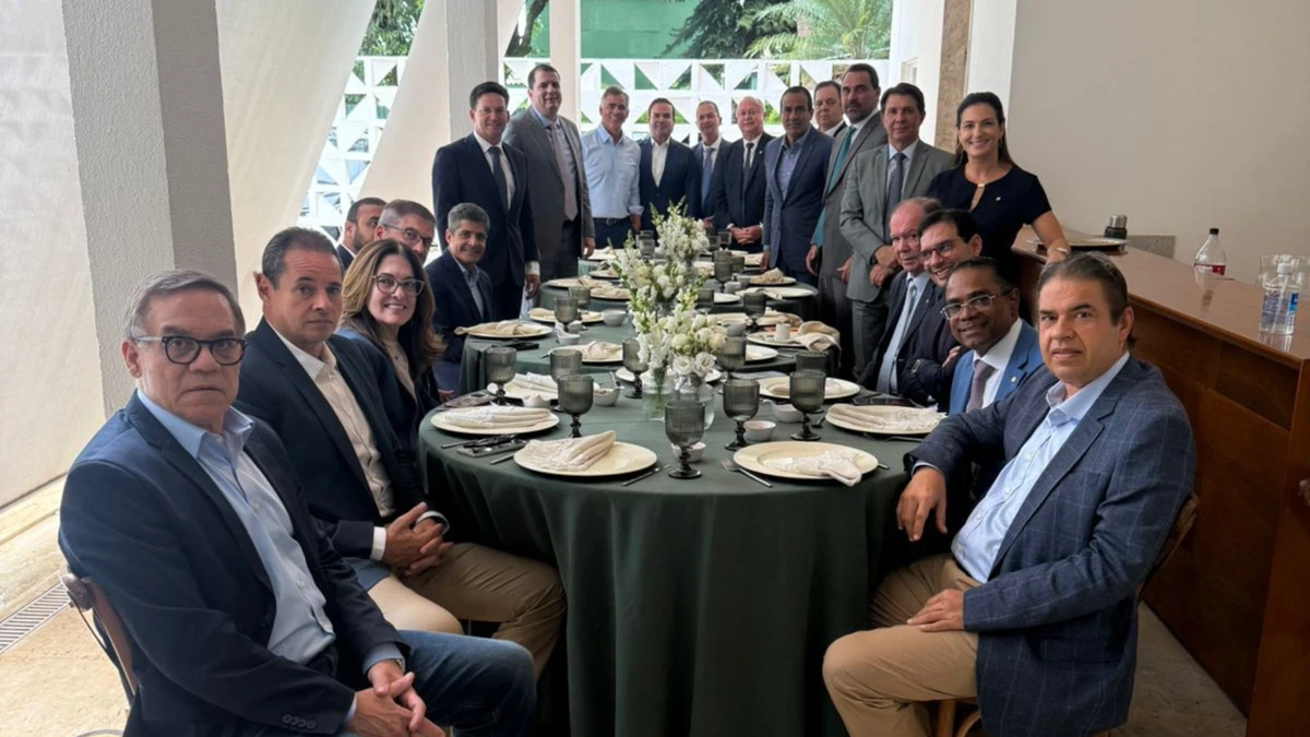 ACM Neto se reuniu com bancada federal