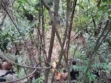 Imagem - Homem fica preso por quatro dias em 'buraco' de 50m de profundidade e é resgatado com vida