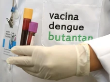 Imagem - A nova vacina de dose única contra a dengue estará no SUS?
