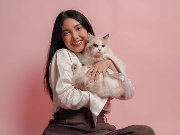 Imagem - Gato sociáveis: 7 raças que gostam de companhia 