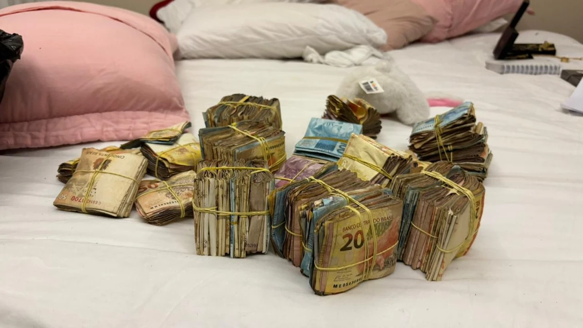 Advogada foi presa em casa com R$ 190 mil em espécie por Reprodução