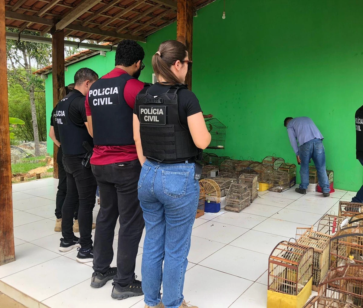 Aves silvestres foram resgatadas na Bahia por Divulgação/PCBA